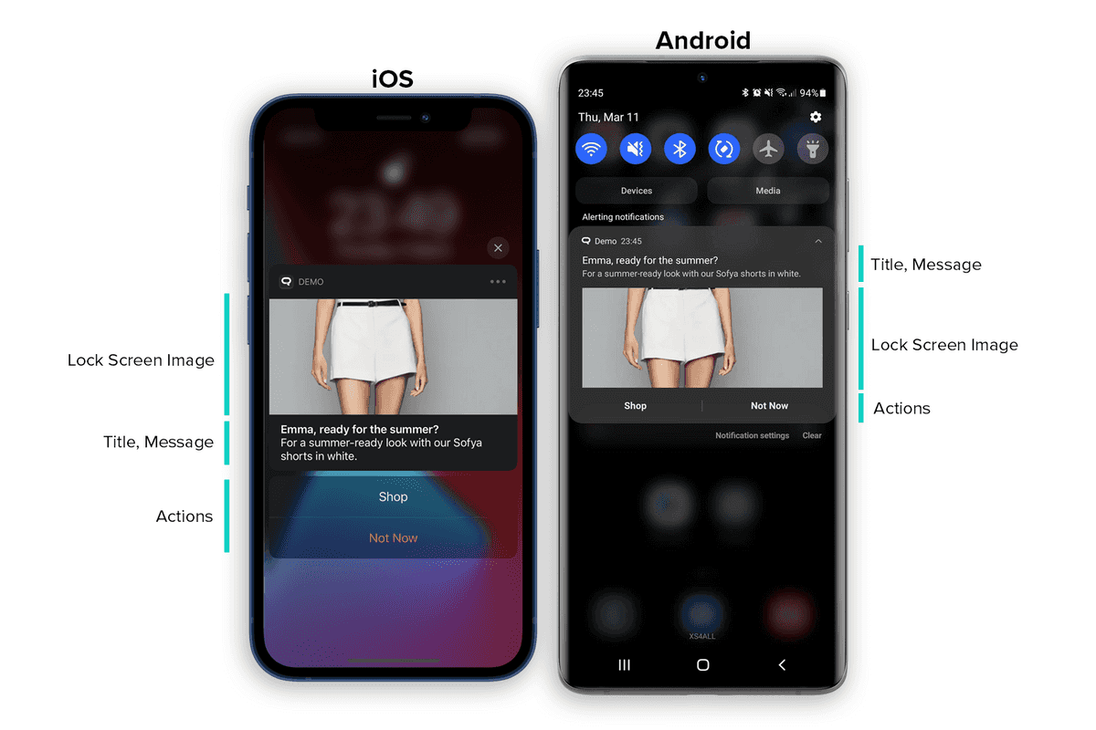 anatomy of rich push